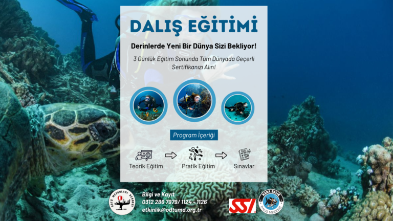 Dalış Eğitimi: Derinlerde Yeni Bir Dünya Sizi Bekliyor!