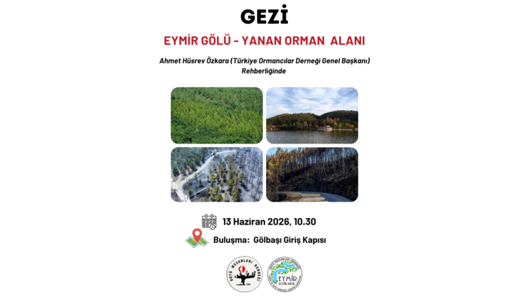 GEZİ: “Eymir Gölü-Yanan Orman Alanı”